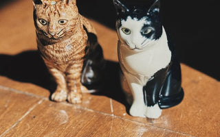 【🇬🇧Quail Ceramics - 手繪陶瓷器具】讓未泯的童心呈現在餐桌上，笑顏開展每個日常 | HEIMA 稀物角落