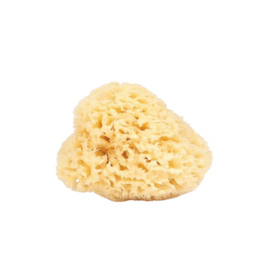 NAJEL - Natural Mediterranean Sea Sponge