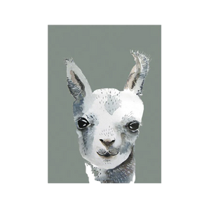 nuukk - Postcard - Llama