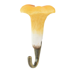 Wildlife Garden - Hook Chanterelle