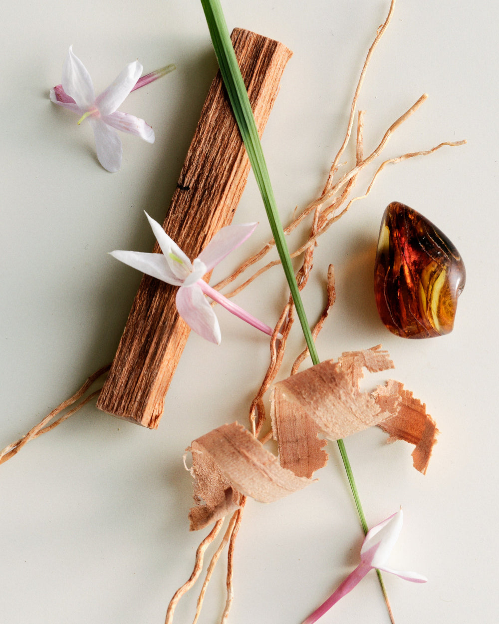 Soothing & nourishing ingredients