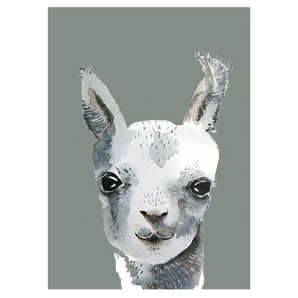 nuukk - Postcard - Llama