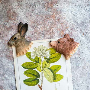 Wildlife Garden - Magnet Mountain Hare