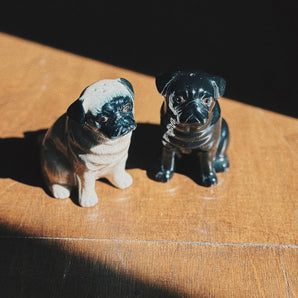 Quail Ceramics - Pug Salt and Pepper Shaker